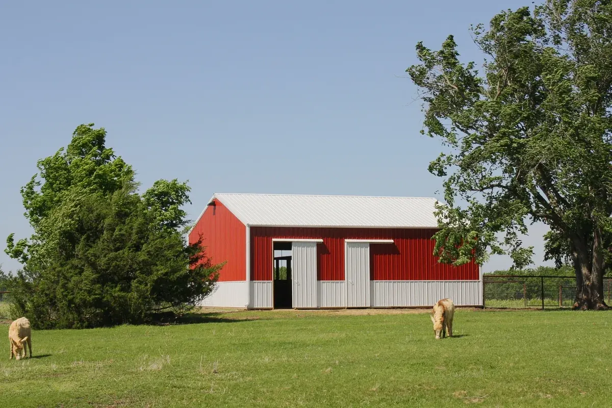 Red and white pole barn with cattle grazing in the pasture out front